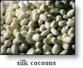 persian silk persian silk